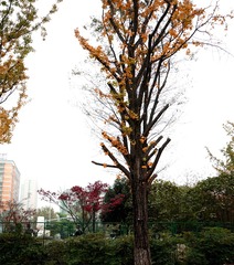 DSC00568_