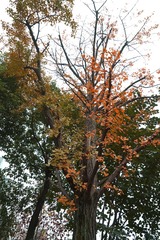 DSC00571_