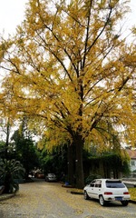 DSC00772_