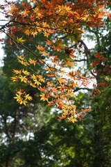 DSC00659_