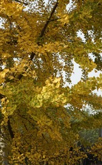 DSC00689_