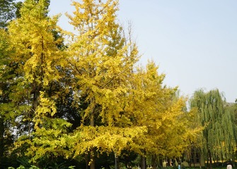 DSC00695_