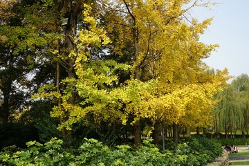 DSC00696_