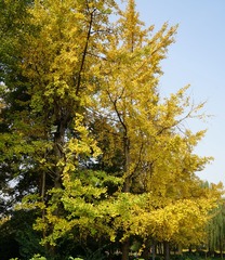 DSC00697_