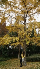 DSC00734_
