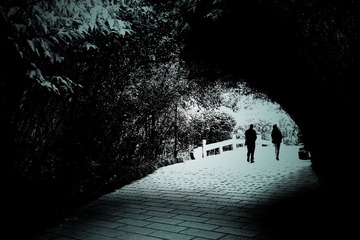 DSC00744__