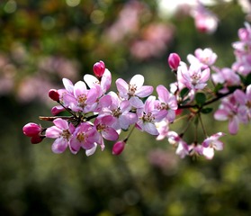 DSC01067__