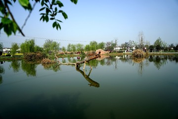 DSC01071_