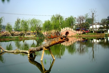 DSC01072_