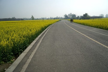DSC01073_
