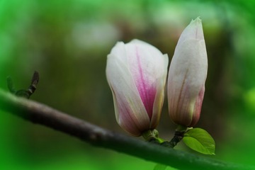 DSC01097_