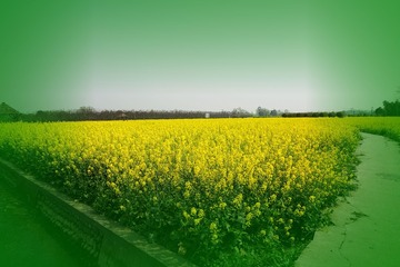 DSC01099_