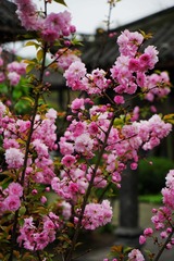 DSC01178_