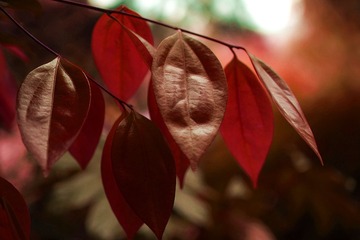 DSC01199_
