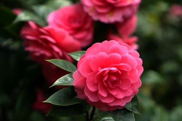 DSC01200_