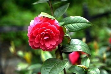 DSC01201_