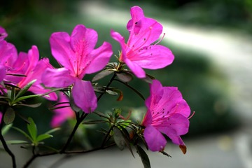DSC01217_