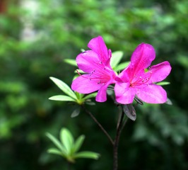DSC01219_