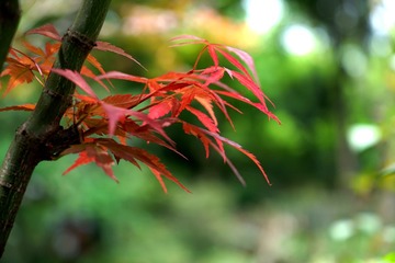 DSC01385_