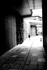 DSC01640_