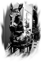 DSC01687_