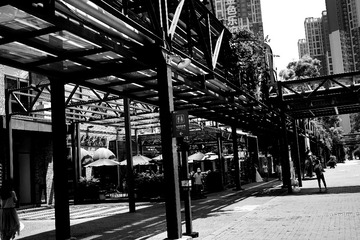 DSC01704_