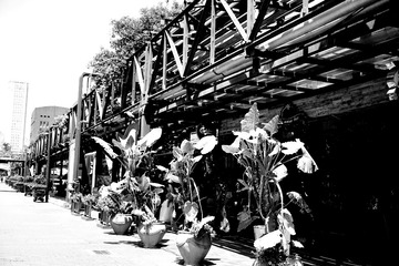 DSC01711_