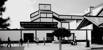 IMG_0248_
