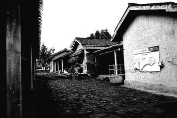 DSC02048_