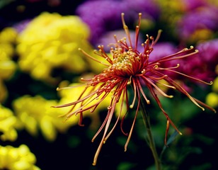 DSC02474_
