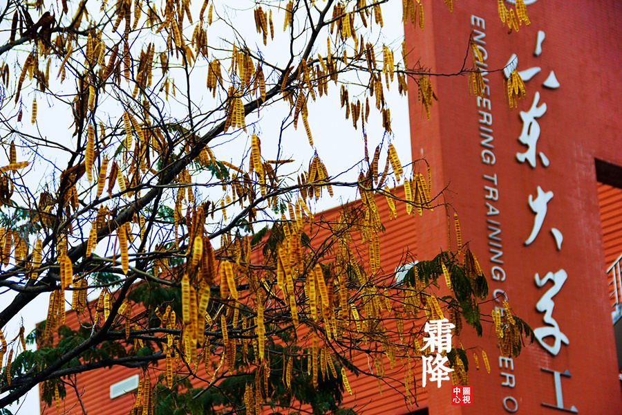 #SDU二十四节气#霜降 - 兴隆山校区, 山东大学, 佳能 - wowLULU - 图虫摄影网
