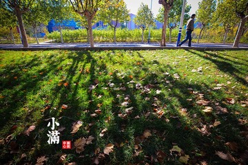 8小满