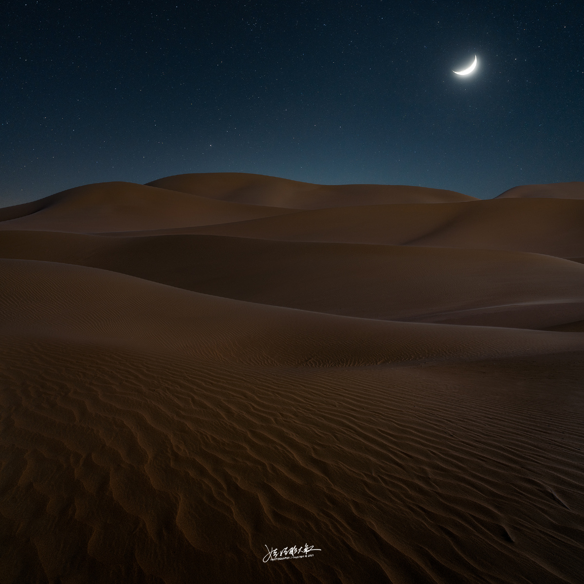 月光沙漠