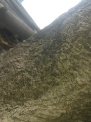 467404