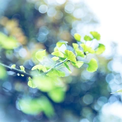 希望明天晴天