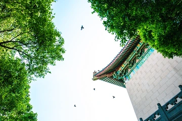 我美丽的大学。