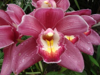 DSC00484.JPG