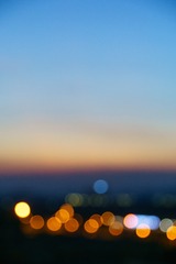 _DSC0881