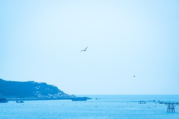 _DSC6245-32