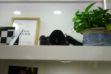 _DSC0186