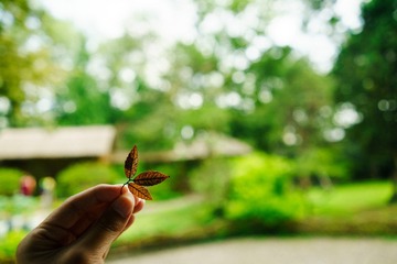 _DSC0640