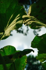 _DSC0645