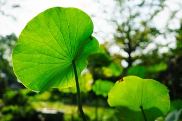 _DSC0648