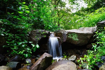 _DSC0831