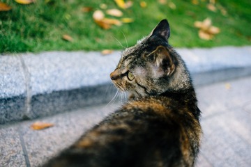 _DSC2112