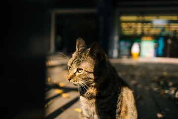 _DSC2130
