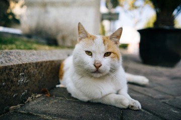 _DSC2162