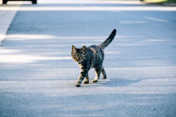 _DSC7580