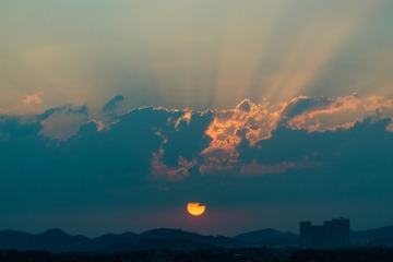 _DSC8551