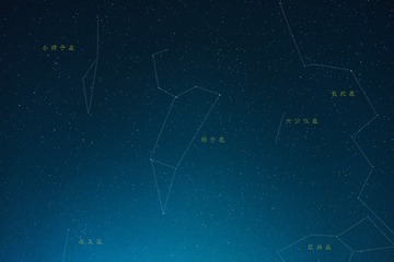 狮子座